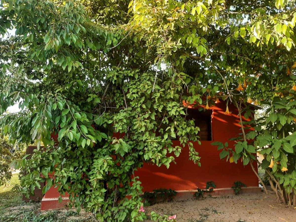 Casa Di Campagna Dal Pozzo ソルソ エクステリア 写真