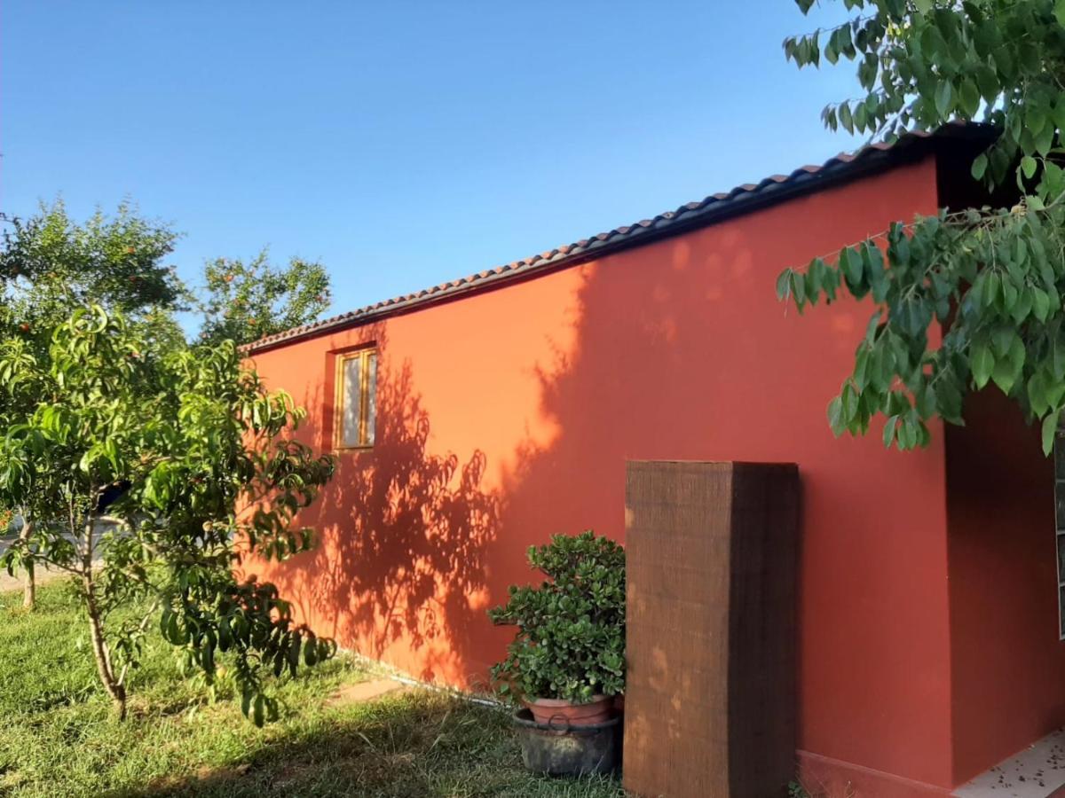 Casa Di Campagna Dal Pozzo ソルソ エクステリア 写真