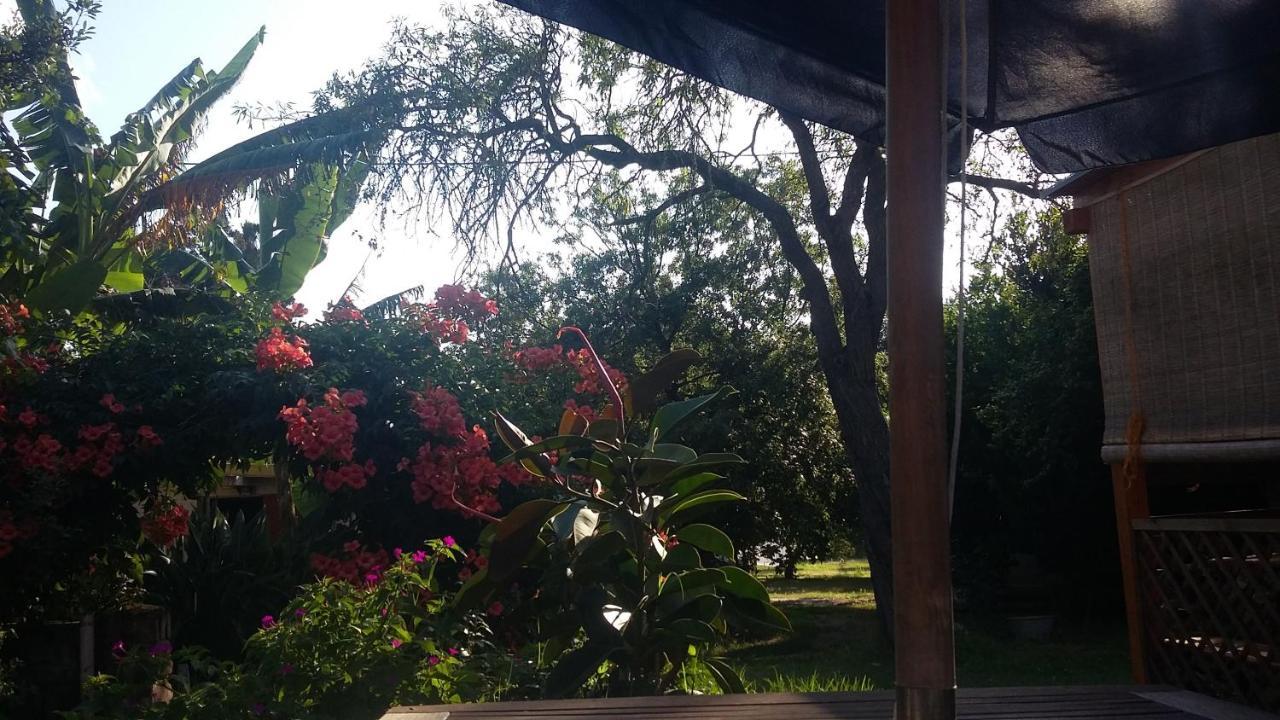 Casa Di Campagna Dal Pozzo ソルソ エクステリア 写真