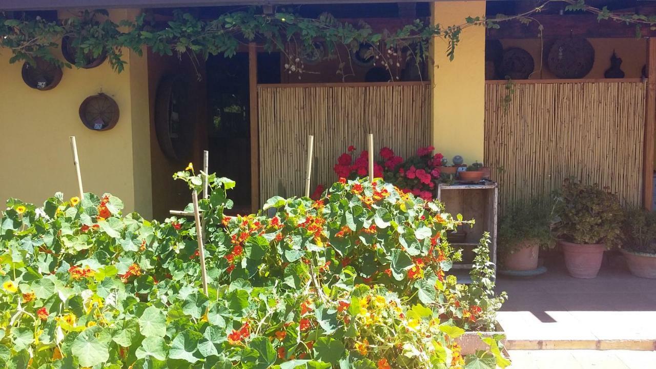 Casa Di Campagna Dal Pozzo ソルソ エクステリア 写真